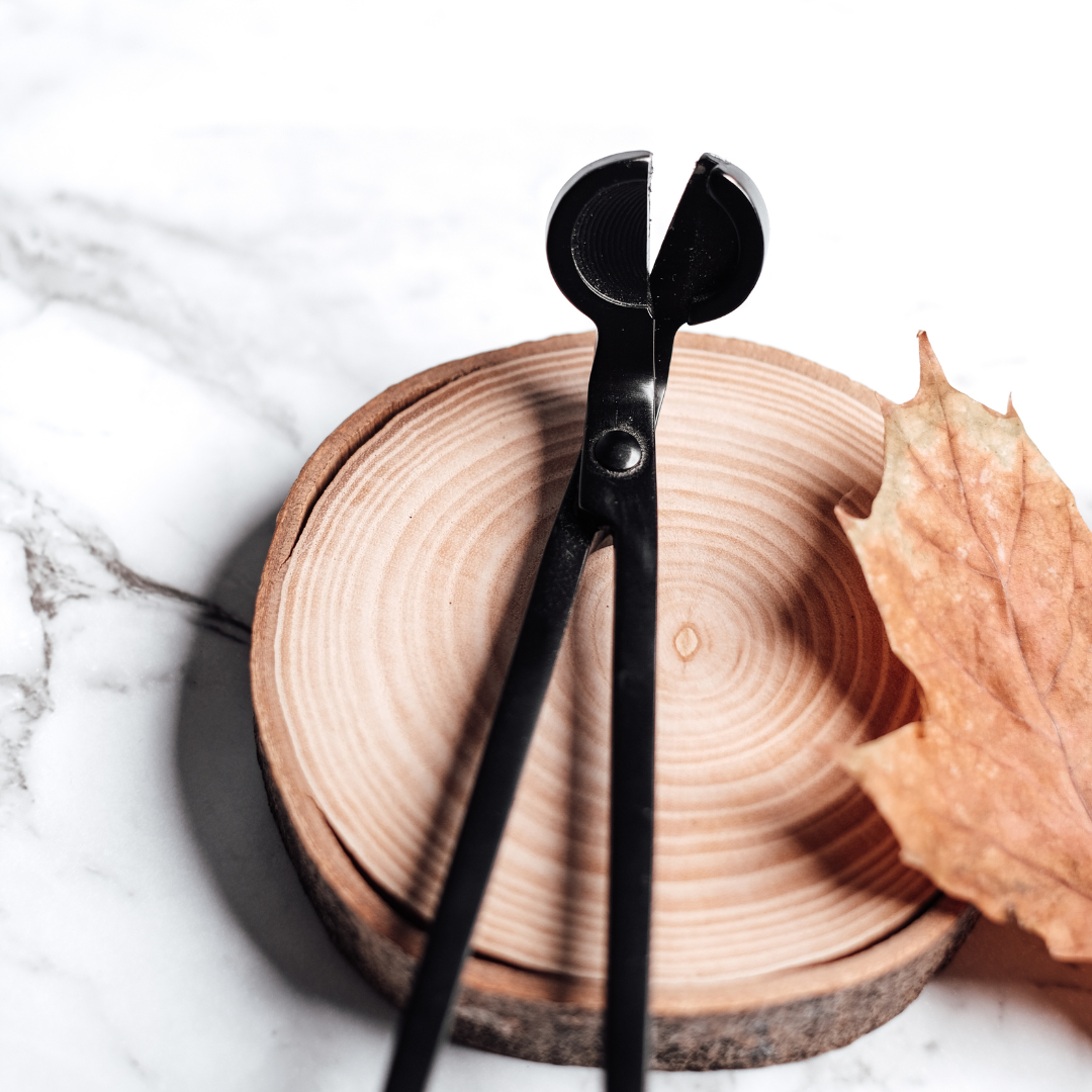 Candle Wick Trimmers